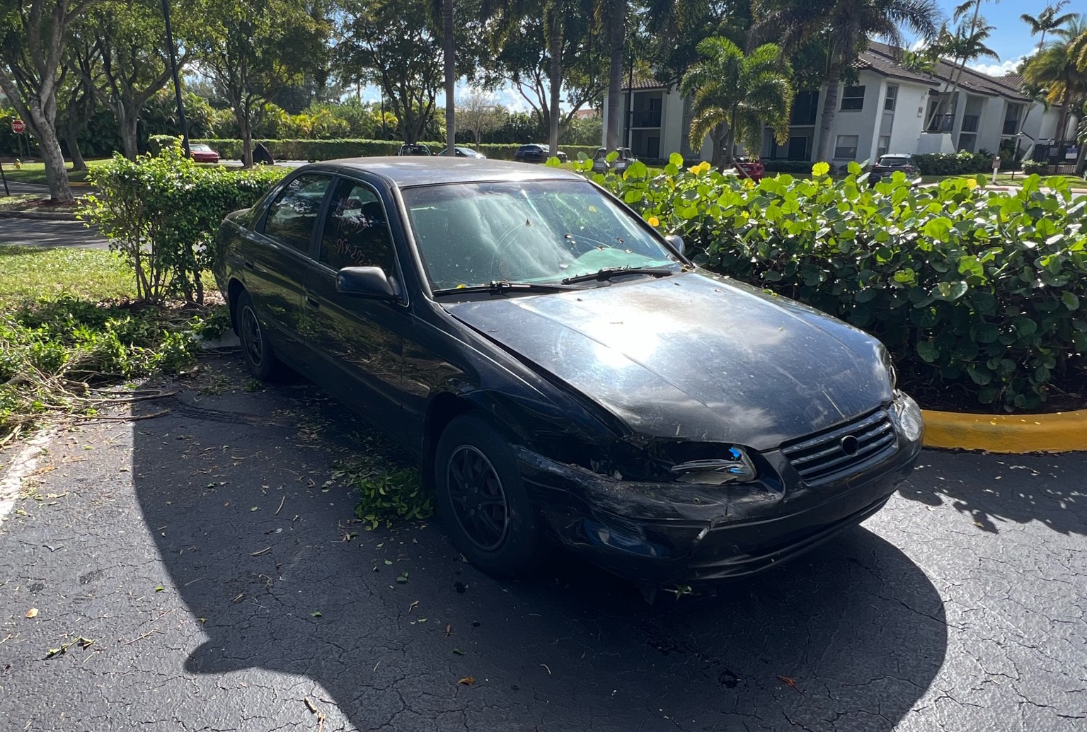 Handing cash for a junk car in South Florida